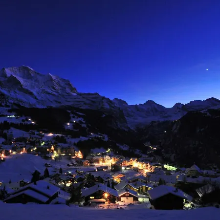 公寓 Schweizerhof Apt- B By Interhome *