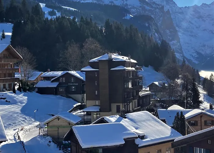 Schweizerhof Apt- B By Interhome Apartment